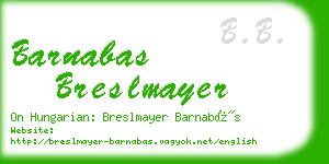 barnabas breslmayer business card